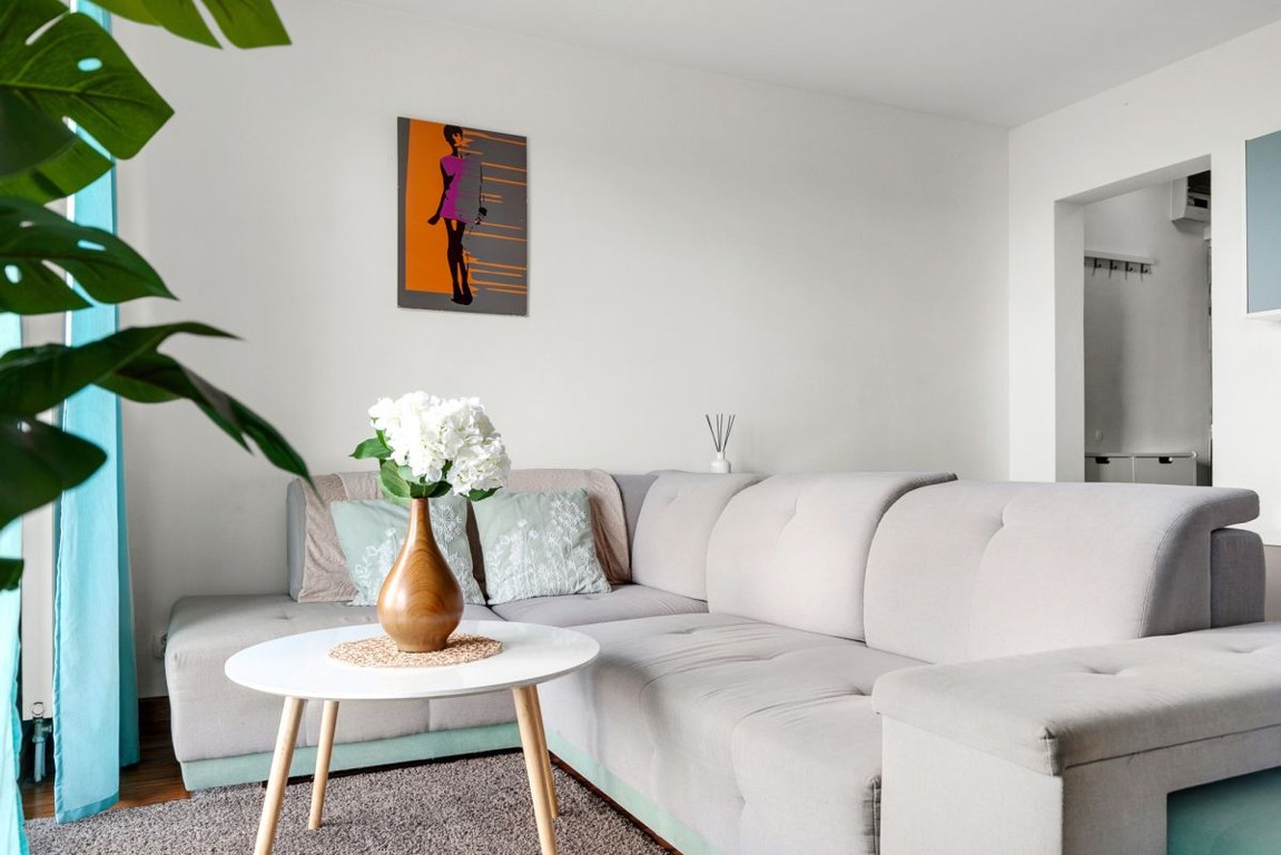 1-room apartment of 36 m²
