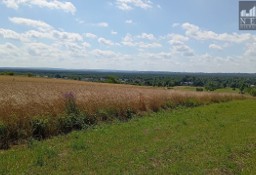 Działka budowlana Dąbrowa Górnicza Błędów, ul. Zagórze