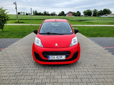 ZWINNY BENZYNIACZEK-1