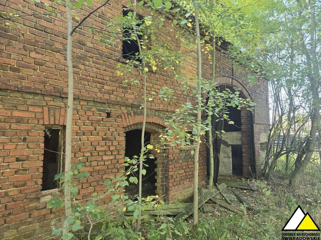 Dom na sprzedaż, 6 pokoi, 250 m², Olszyna