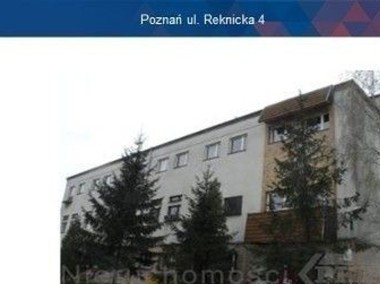 Lokal Poznań, ul. Reknicka 4.-1