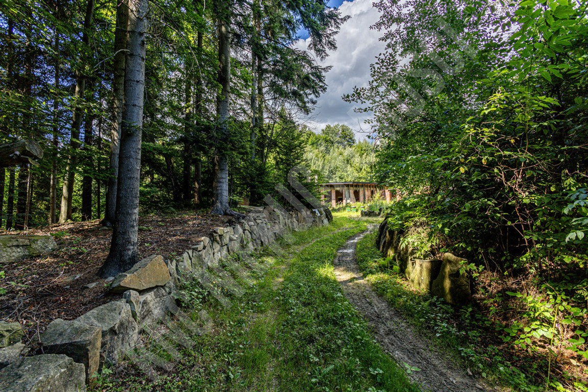 Pcim - teren 1,32 ha blisko natury, duży potencjał – pohled 6