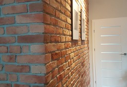 Płytki na ścianę ze starej cegły