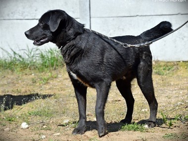 Gambit czeka na Twój ruch-1