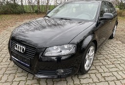 Audi A3 II (8P) Audi A3 2.0 TDI COMMON RAIL Orginalny lakier