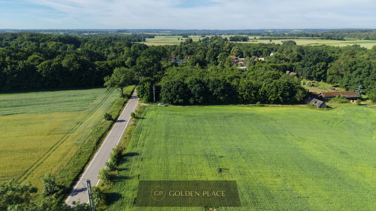 Działka 3000 m² z Warunkami Zabudowy | Bychowo - Widok 3