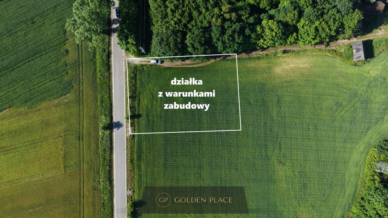 Działka 3000 m² z Warunkami Zabudowy | Bychowo - Widok 5