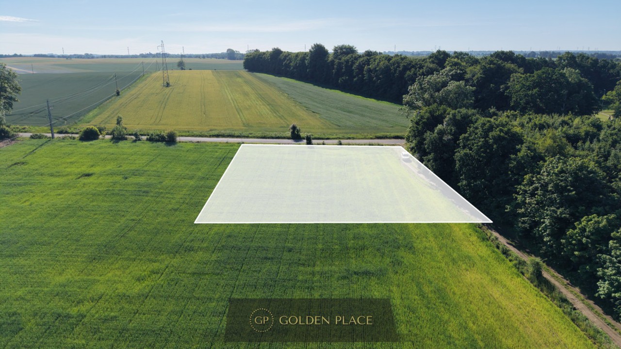 Działka 3000 m² z Warunkami Zabudowy | Bychowo - Więcej