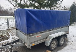 Neptun sprzedaż syndyka