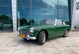 Austin Healey Sprawny / Zabytek!