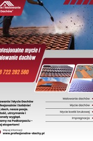 Profesjonalne Malowanie mycie Dachów dachu WYCENA GRATIS-2