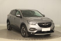 Opel Inny Opel Salon Polska, 1. Właściciel, Serwis ASO, Skóra, Klimatronic,