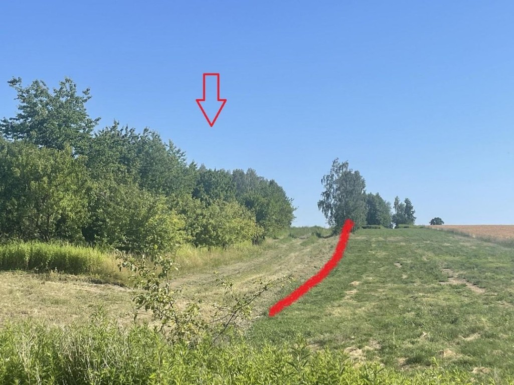 Niwa Działka rolno-budowlana 1,75 ha Puławski - Widok 2
