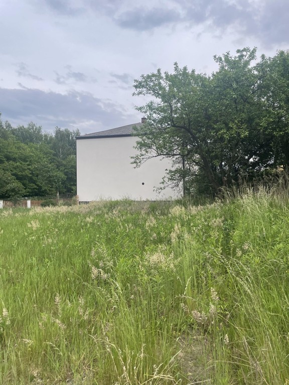 Niwa Działka rolno-budowlana 1,75 ha Puławski - Widok 5