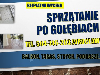Sprzątanie po gołębiach, cena, balkonu z odchodów, dezynfekcja, Wrocław, usługi-1