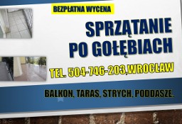 Sprzątanie po gołębiach, cena, balkonu z odchodów, dezynfekcja, Wrocław, usługi