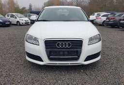 Audi A3 II (8P) 1.6 MPI 102KM FACELIFTING Bezwypadkowy Bardzo Zadbany OPŁACONY