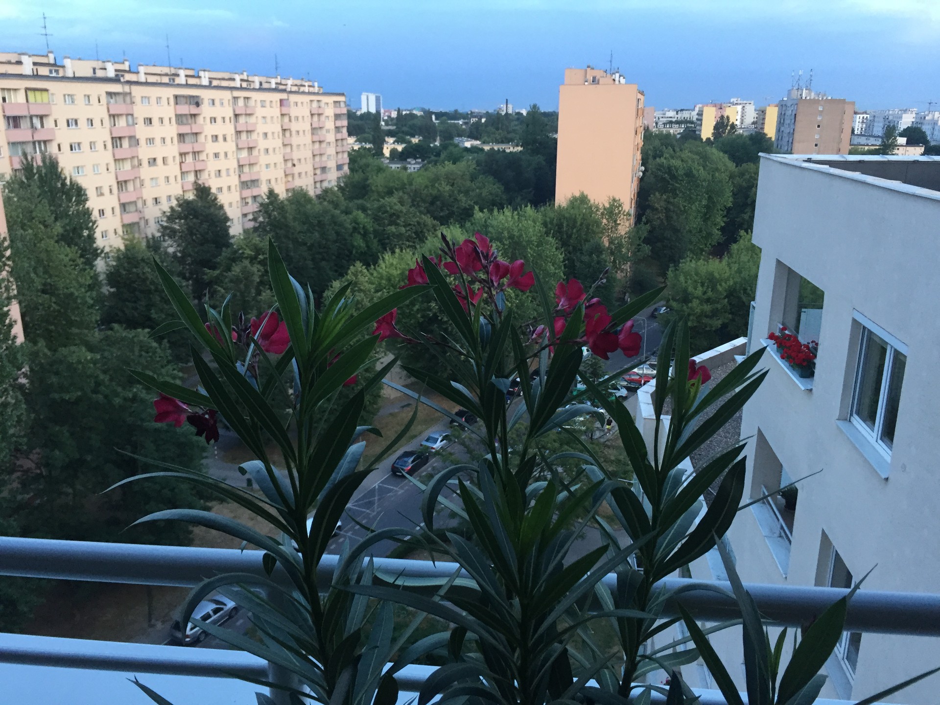 Do wynajęcia BEZPOŚREDNIO 3 pok. 70 m², 9 piętro (ostatnie) - przestrzenny widok panorama - Widok 4
