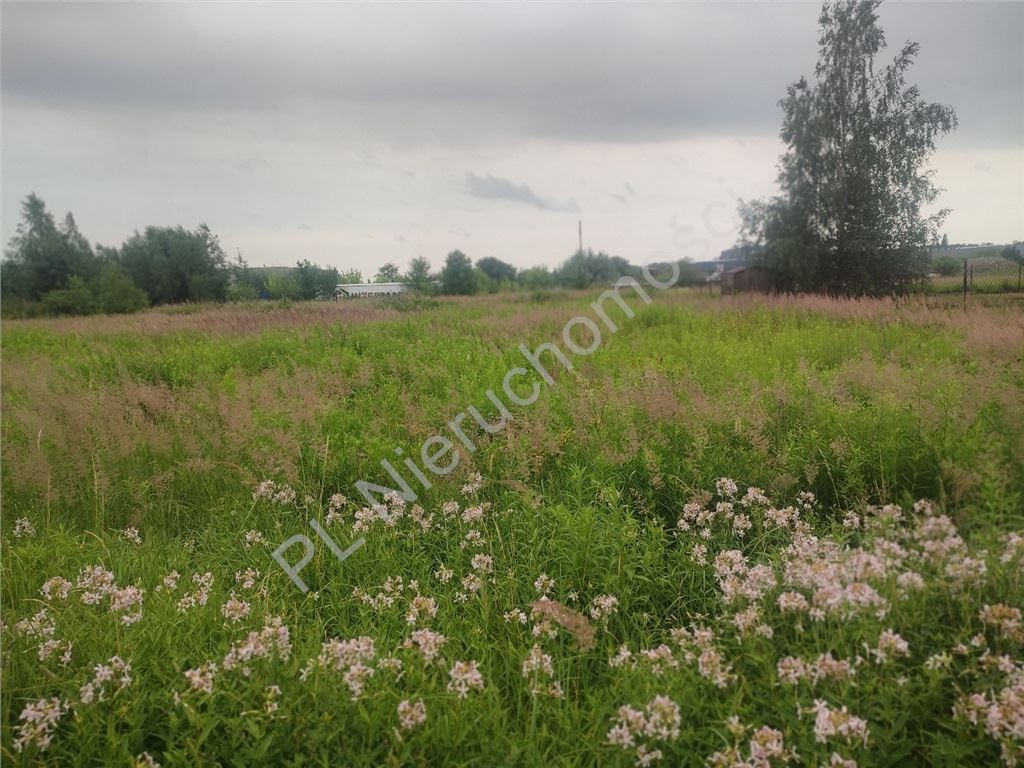 Działka na sprzedaż, 1820 m², Nadarzyn Kajetany - Widok 2
