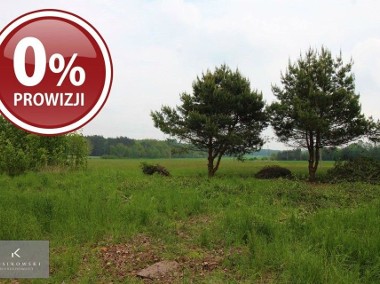 Działka  Nowa Wieś Goszczańska-1