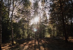 Malowniczo położona działa na Mazurach gmina Ostróda 