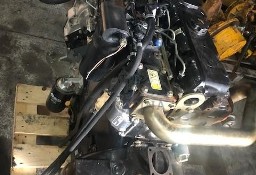 Perkins RG38138 Silnik Kompletny lub części