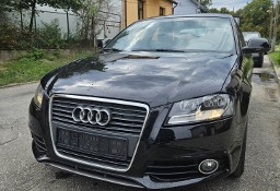 Audi A3 II (8P) mały przebieg s line ×2