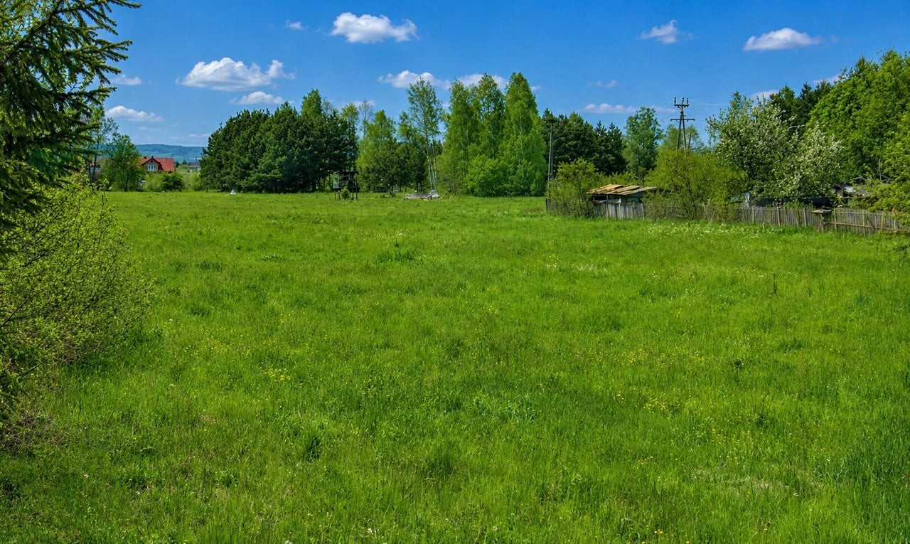 Działka przy głównej ulicy Błędów - idealne wymiary :) - Widok 3