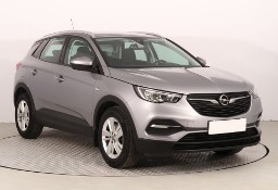 Opel Inny Opel , Salon Polska, 1. Właściciel, Serwis ASO, Klimatronic,