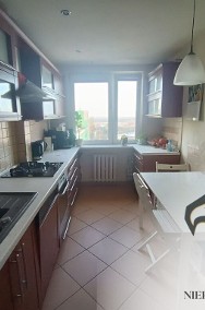 <p>3 minuty do tramwaju</p>-2