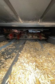 Claas Mega 360 [CZĘŚCI] - Koło Zębate-2