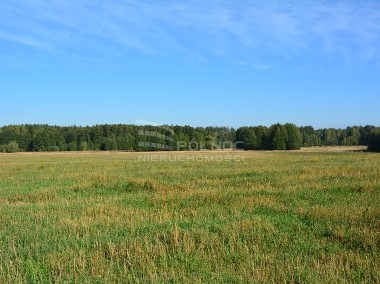 Działka rolna Łubniki-1