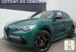 Alfa Romeo Stelvio Turbo Tributo Italiano Q4 2.0 Turbo Tributo Italiano Q4 (280KM)