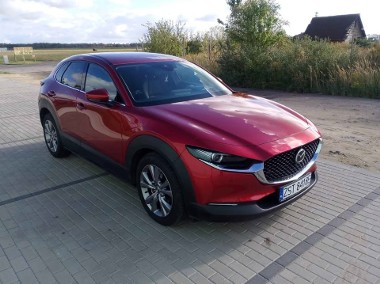 bezwypadkowa piękny czerwony kolor-1