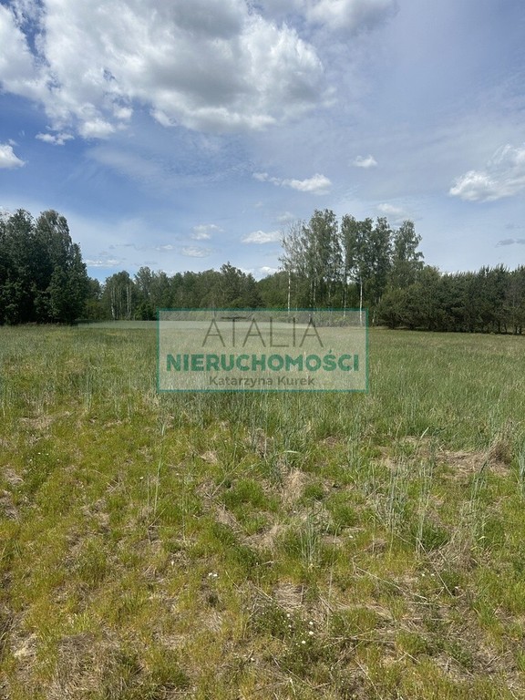 Działka budowlana 2100 m² – Makówka - Widok 3