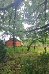 Wyjątkowa działka budowlana z ponad 100-letnim dębem-2