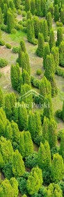 "Zielone Wzgórze" - 20 działek budowlanych-Olecko-4