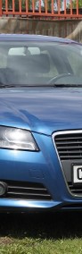 Audi A3 II (8P) Wzorowy Stan Serwis I-właściciel WARTO-4
