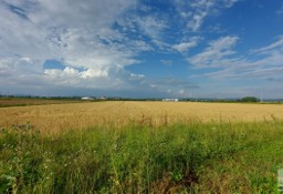 Działka budowlana Pieszyce