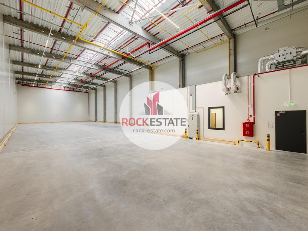 Luboń - magazyn 5688 m² na wynajem bez koszt. eksp - View 3