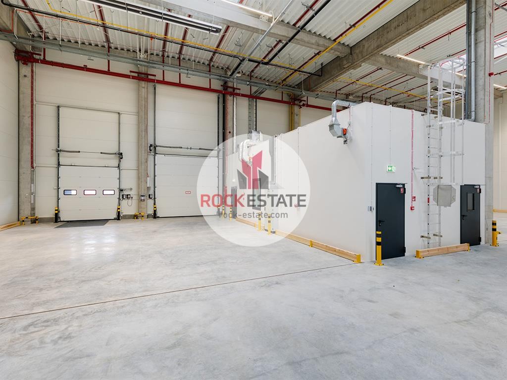 Luboń - magazyn 5688 m² na wynajem bez koszt. eksp - View 6