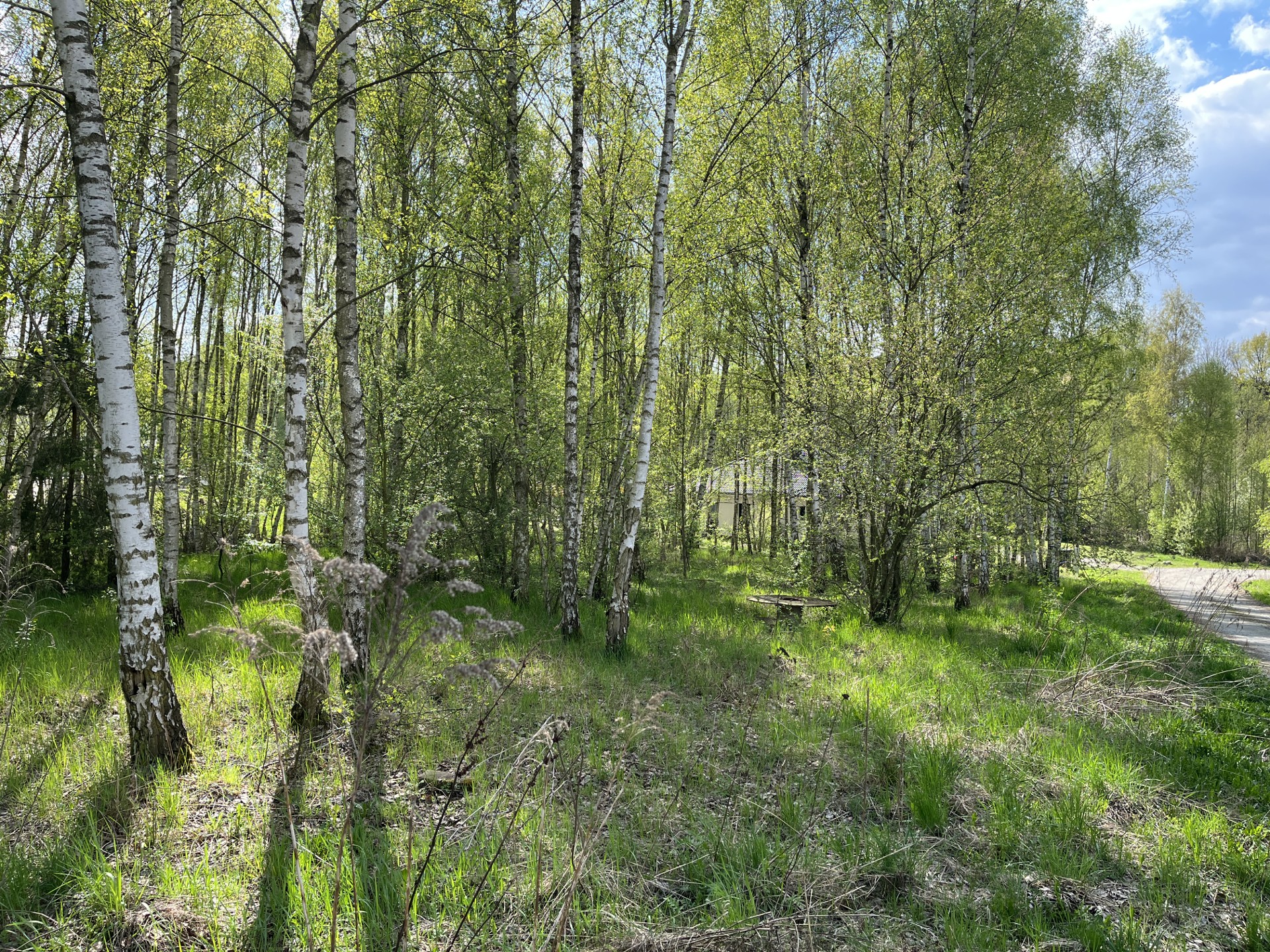 Sprzedam działkę budowlaną - Widok 2
