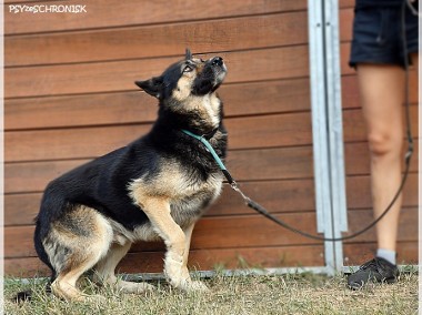 Mati - gdyby ktoś zechciał dać mu szansę-1