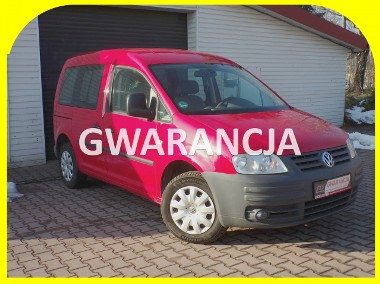 Volkswagen Caddy III Klimatronic /Gwarancja / MPI /2010-1