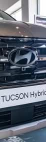 Hyundai Tucson III 1.6 T-GDi HEV Platinum 4WD aut 1.6 T-GDi HEV Platinum 4WD aut 239KM-3