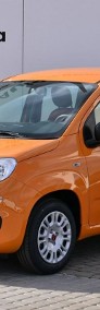 Fiat Panda III Easy Model 2021 Klima Radio El. Szyby Skrzynia 6-biegowa!-3