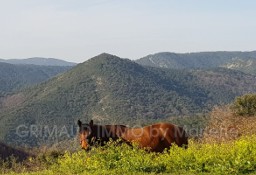 Dom La Garde-Freinet