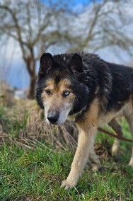 Dotrzymasz Nanukowi towarzystwa na ostatnie lata?-2