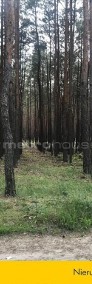 Piękna działka budowlana w lesie - 7458m2 - Wesoła-4