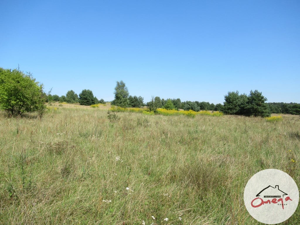 Idealna działka pod budowę domu - Widok 5